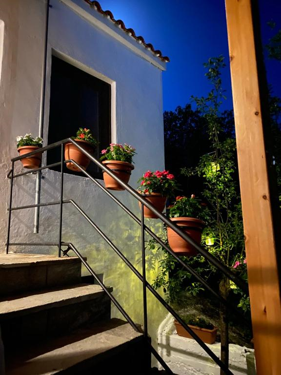 Sevastie's House2